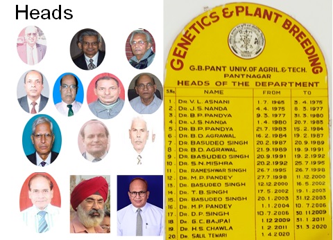 Heads of the Department over the years