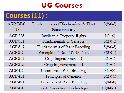 Undergraduate course structure