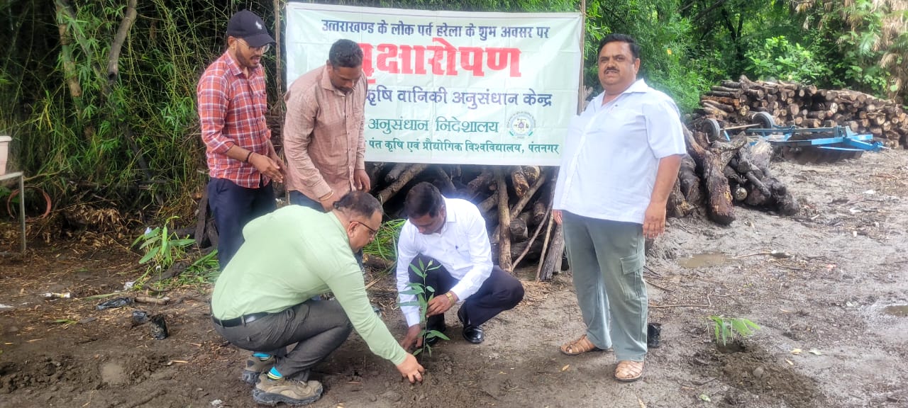 Large-scale plantation of 250 saplings at the Agroforestry Research Centre under the Harit Yagya campaign